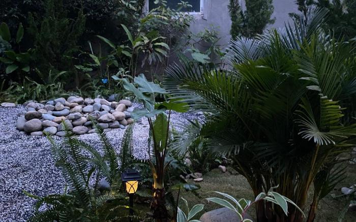 Summer Stay - Đà Lạt