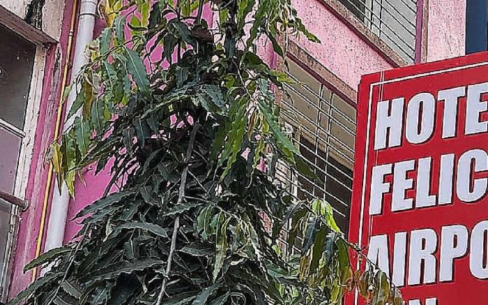 Hotel O Felicita Airport Inn