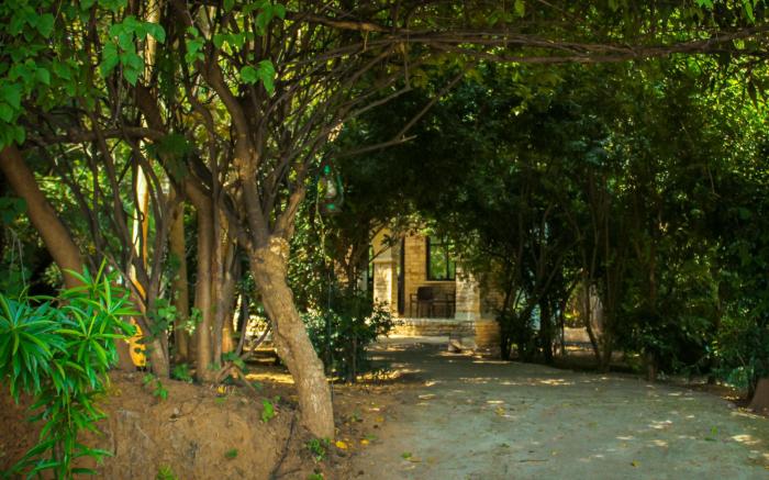 Panna Tiger Resort