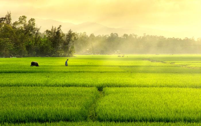 NaLinNaa Resort Buriram