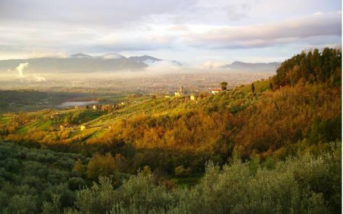 Fattoria Gambaro di Petrognano