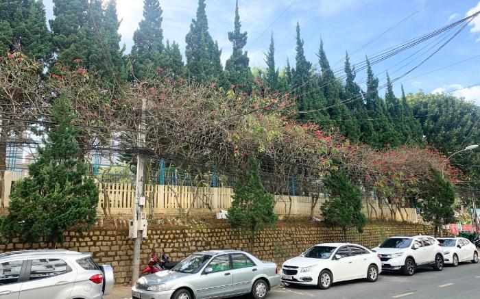 Xuan Quynh Hotel