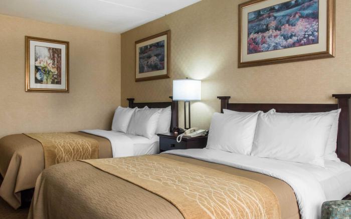 Comfort Inn Lancaster County North