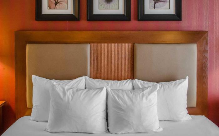 Hotel Hanna