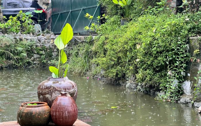 Morning Calm Garden Villa - Ninh Binh