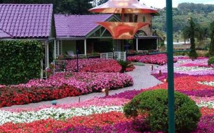 Unique Garden