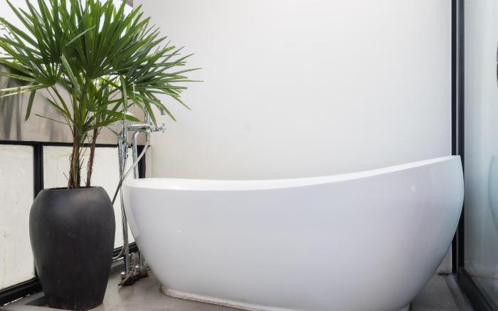 Shintana Saya La Maison