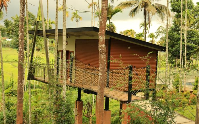 Paddy View Resort