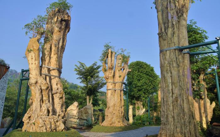 SARGA Earthing Resort