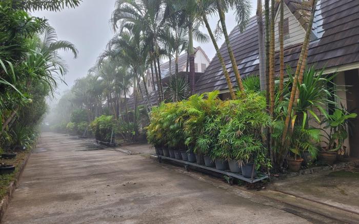 โรงแรมราชิการีสอร์ท