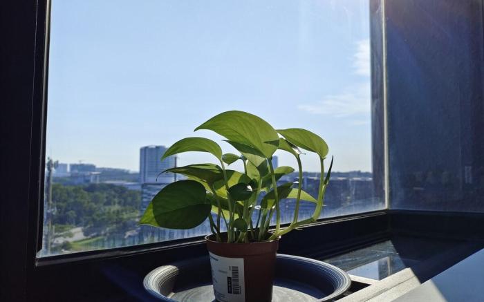 Kanvas Soho Cyberjaya/ Netflix/Gym/Jacuzzi/KLIA