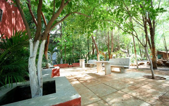 Brown Town Resort & Spa
