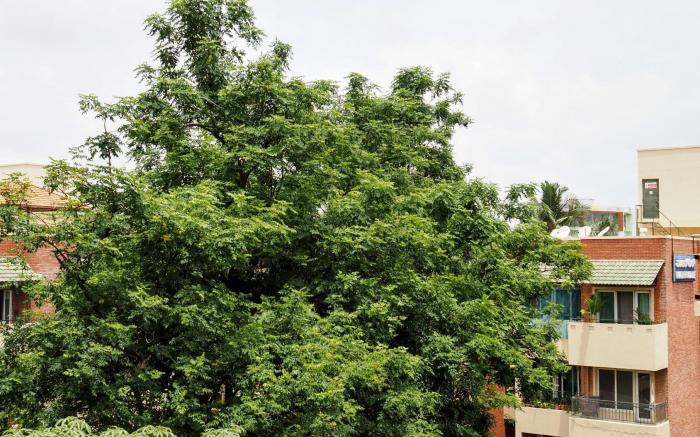 Transtree at Whitefield - Corporate Stays