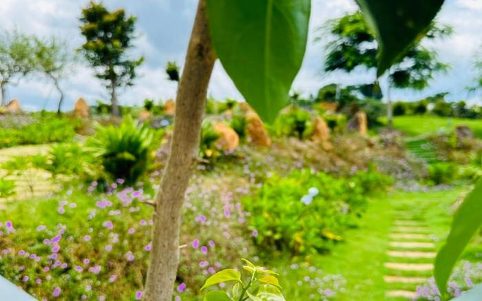 Homestay Nhà Của Gạo