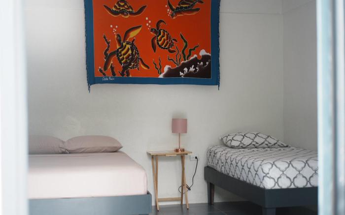 Rooms & Pool Macaws