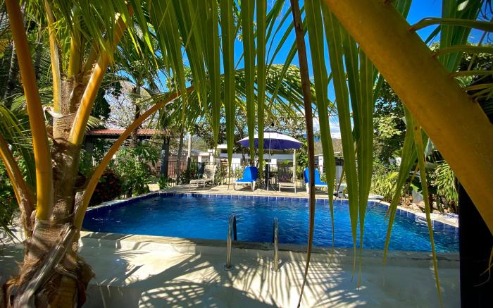 Rooms & Pool Macaws