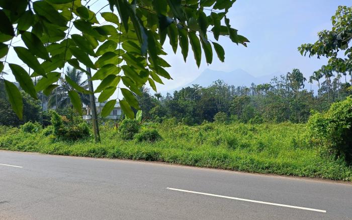 Simple Private Homestay Wayanad 