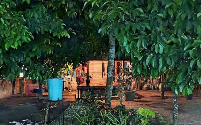 Traveller Homestay