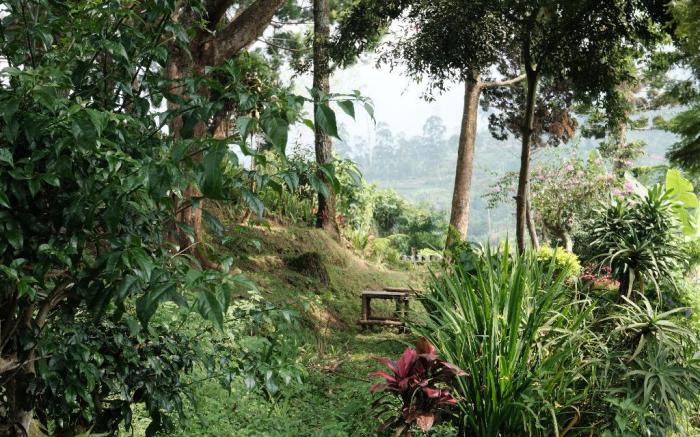 Resort Prima Coolibah