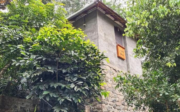 Khaya Gaze medicinal Plantation Guest House 