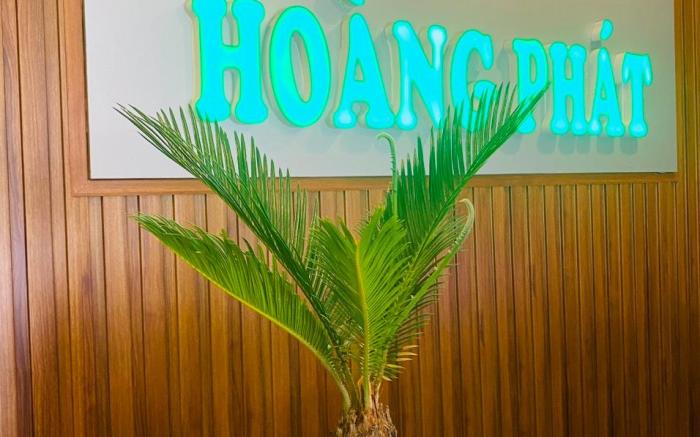 Hoang Phat Hotel