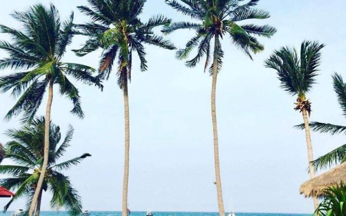 Bow Thong Beach Resort