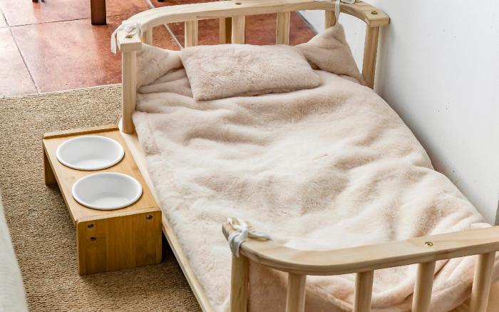 花蓮熊頂｜寵物友善