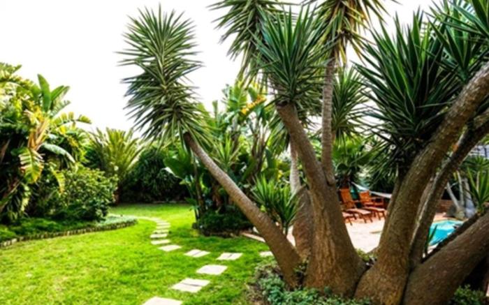 Secret Garden Guesthouse