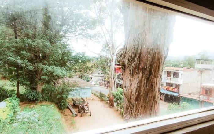 The Pearl Homestay