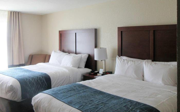 Comfort Inn & Suites Niagara Falls Blvd USA