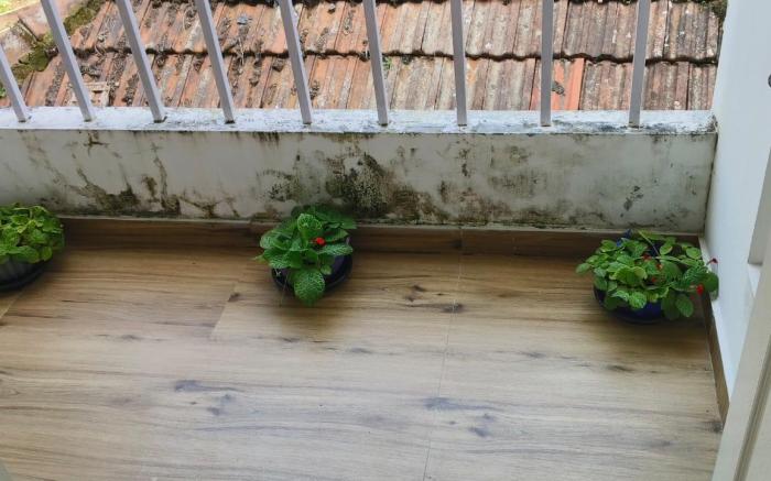 Tess Holistay  Deluxe Room no 6 with balcony