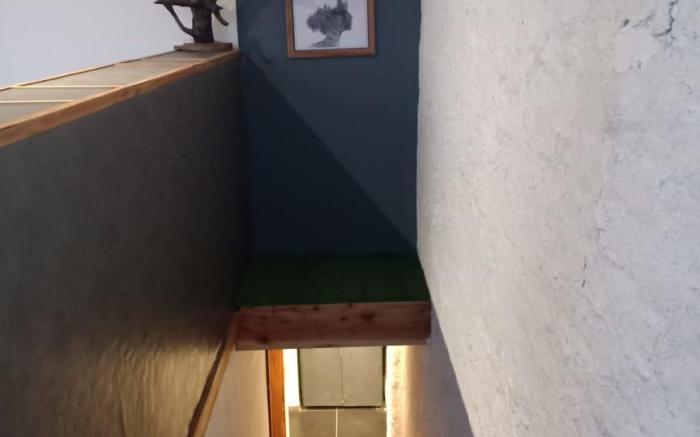 Zephyr House CASA Stay