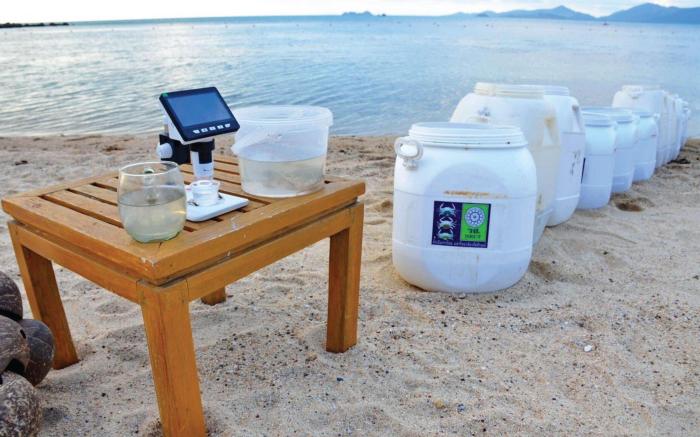 Sheraton Samui Resort