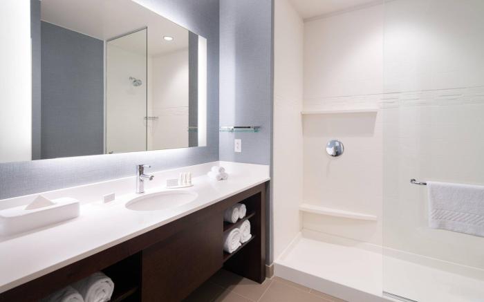 Residence Inn by Marriott Chicago Downtown/Loop