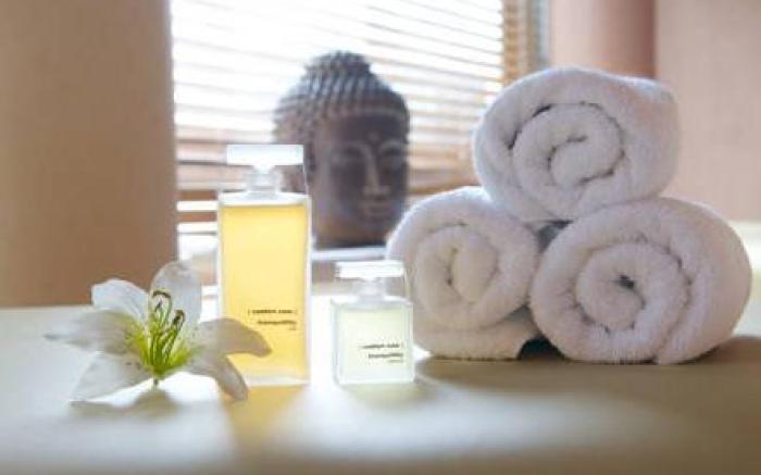 Le Riviera - Hotel Restaurant & Spa - Ex Golden Tulip Aix les bains