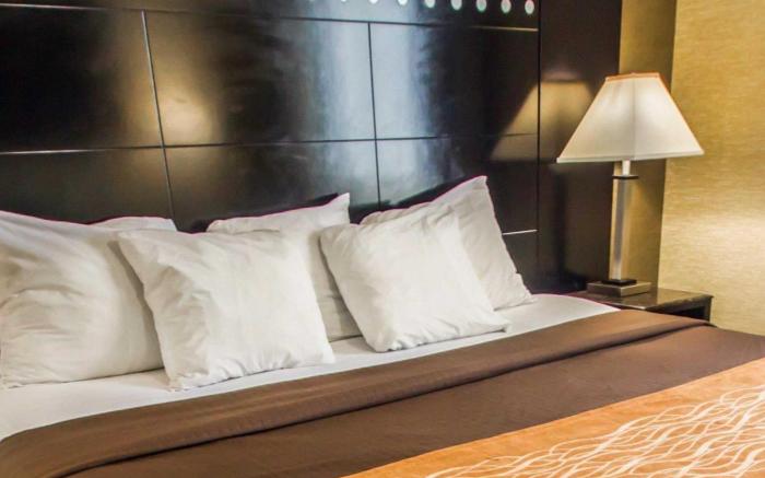 Rodeway Inn Bronx Zoo