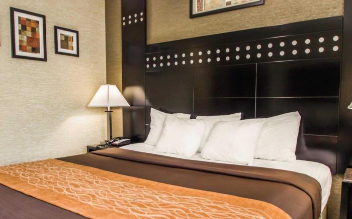 Rodeway Inn Bronx Zoo