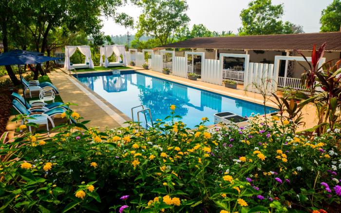 White Woods Resort, Morjim