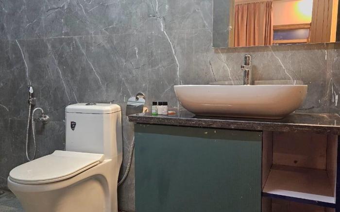 Humming Bird By Aaryam