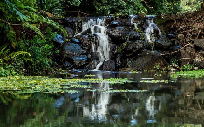 Kondalilla Eco Resort