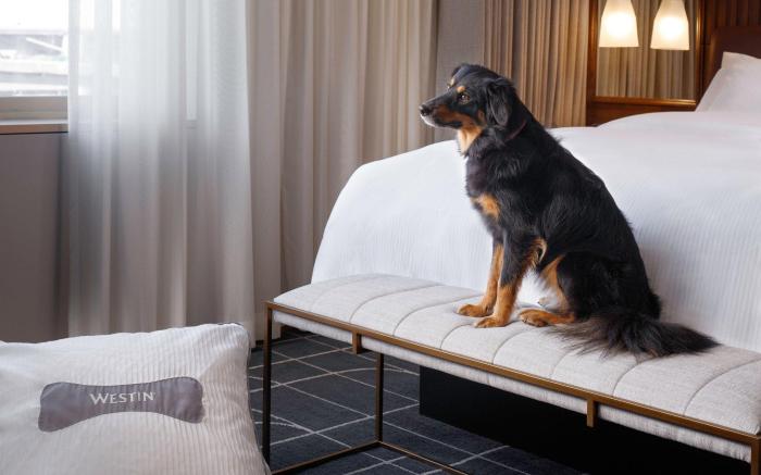 The Westin St. Louis