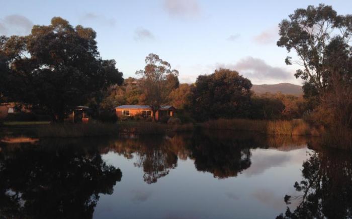 Halls Haven Resort