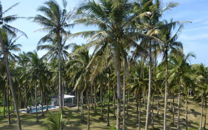 Caliraya Ecoville Recreation Farm & Resort