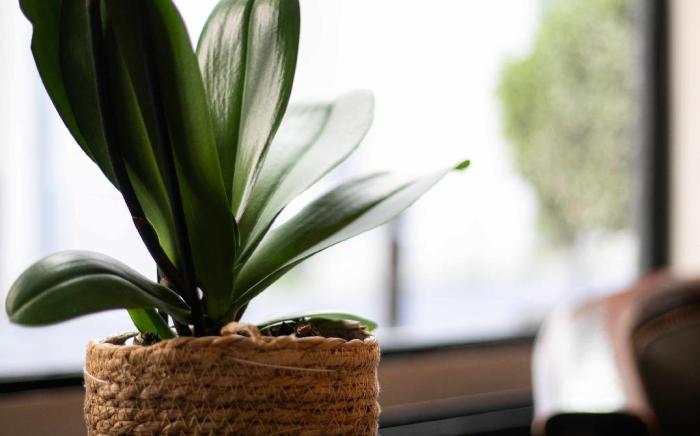 Hotel Eiffel Rive Gauche