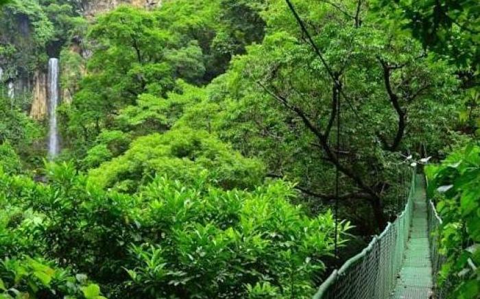 Buena Vista del Rincon Eco Adventure Park Hotel & Spa