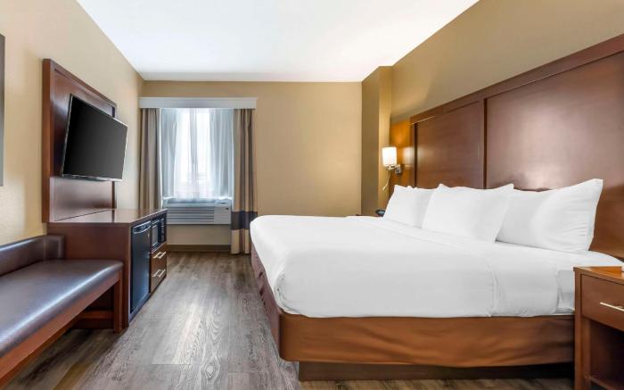 Comfort Suites At the University