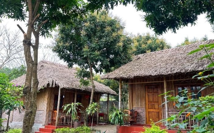 Ninh Binh Bamboo Farmstay