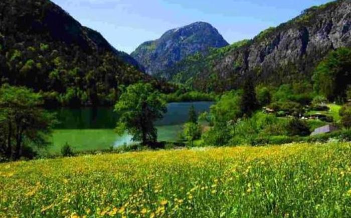 Alpengasthof Madlbauer