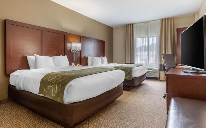 Comfort Suites Johnson City near University
