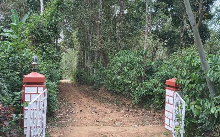 Coorg Klusters estate stay
